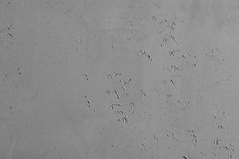 Ceresit Visage Concrete Sand Tokyo Graphite