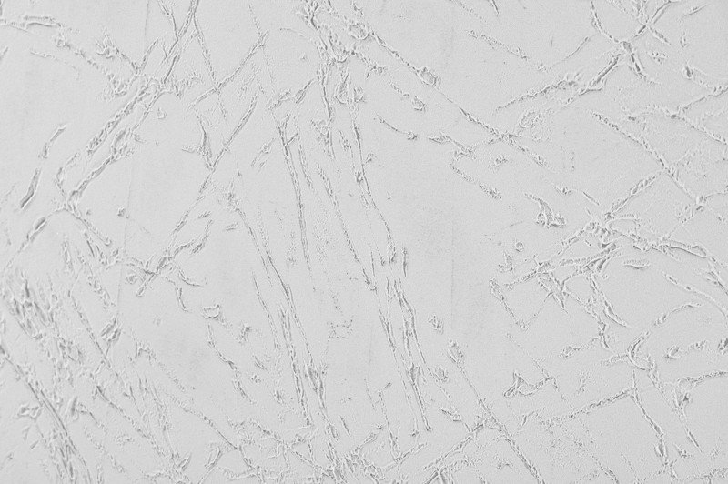 Ceresit Visage Concrete Winter Sydney Light